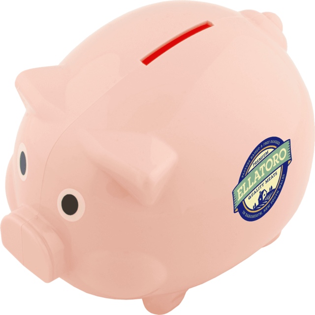 Eco - Recycled Piggy Bank