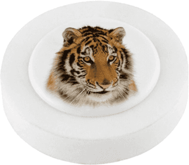 Eraser - Snap Circular